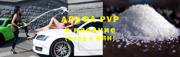 a pvp Бородино