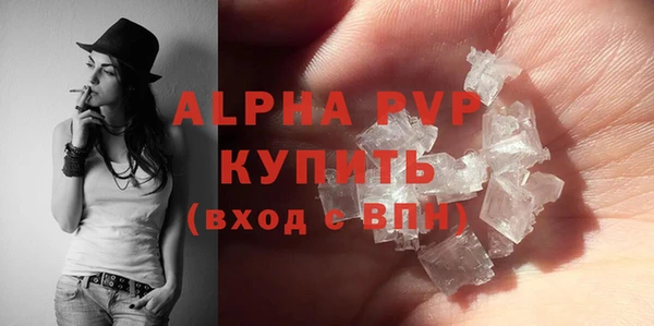 a pvp Бородино