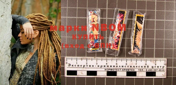 a pvp Бородино